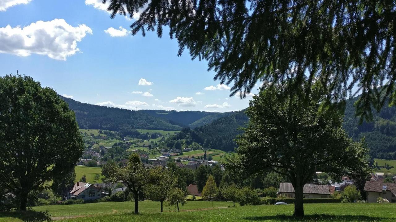 Schwarzwälder Ferienwohnungen Seelbach  Exterior foto