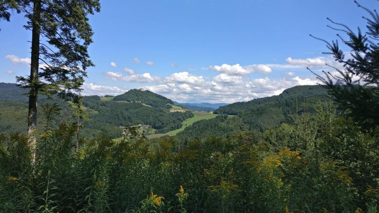 Schwarzwälder Ferienwohnungen Seelbach  Exterior foto