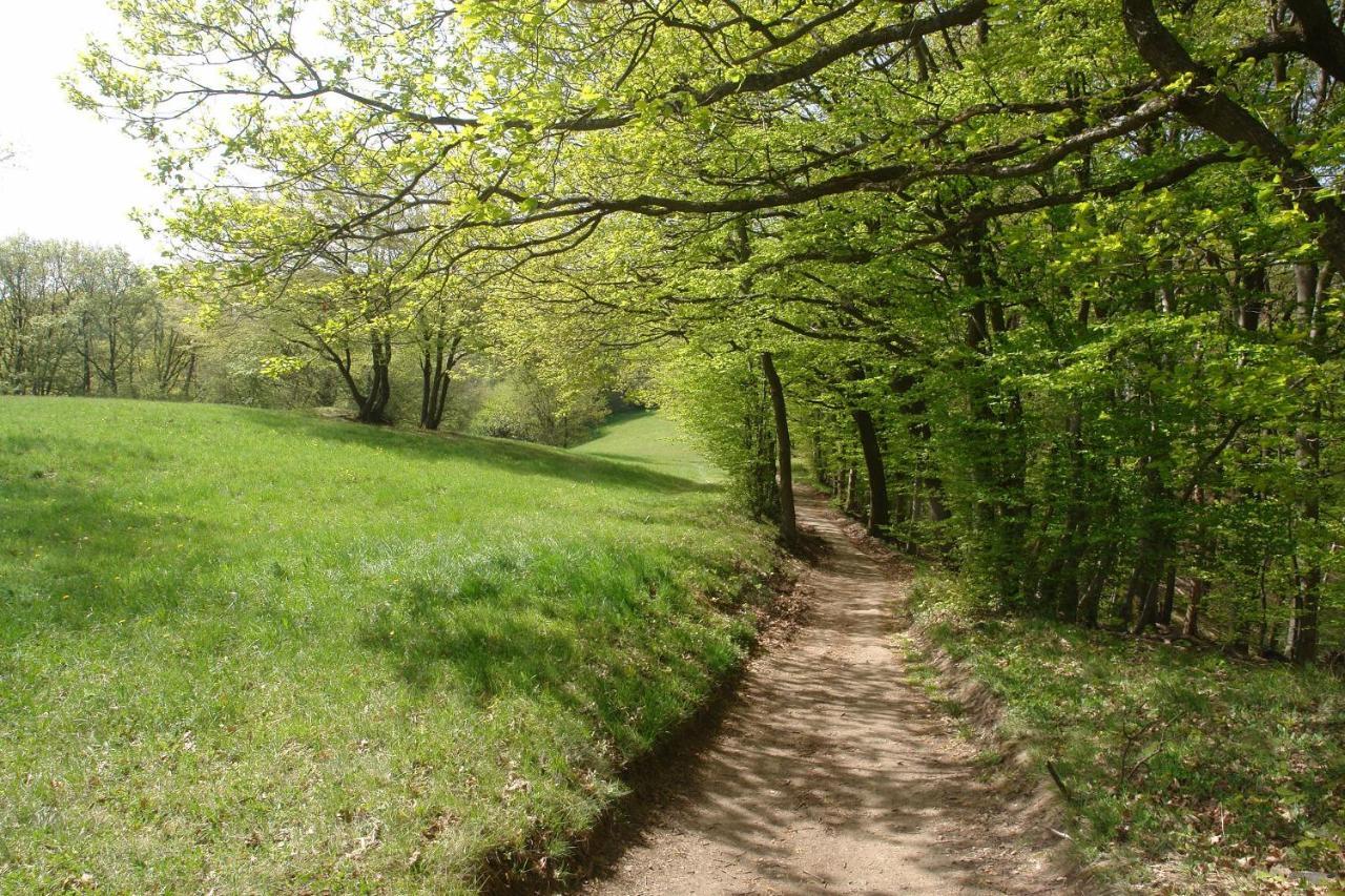 Schwarzwälder Ferienwohnungen Seelbach  Exterior foto