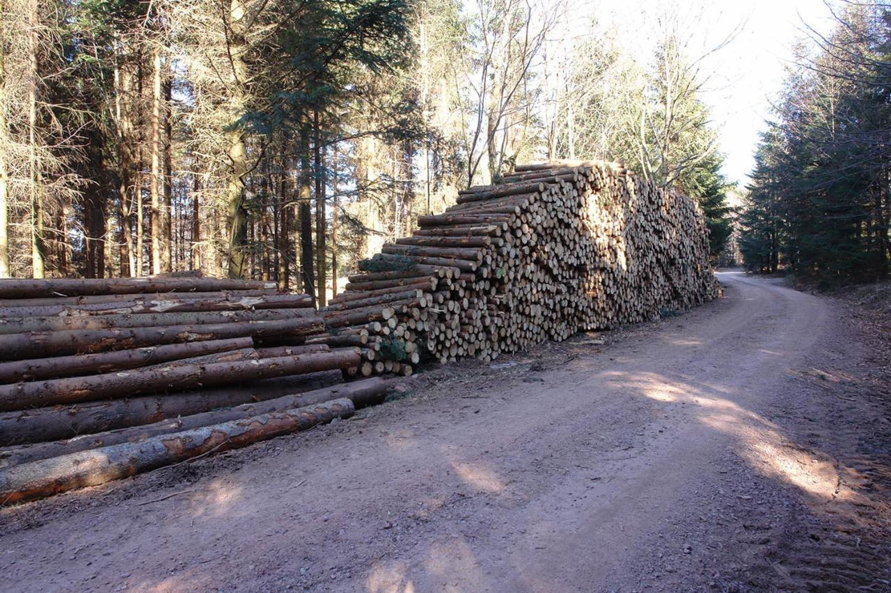 Schwarzwälder Ferienwohnungen Seelbach  Exterior foto