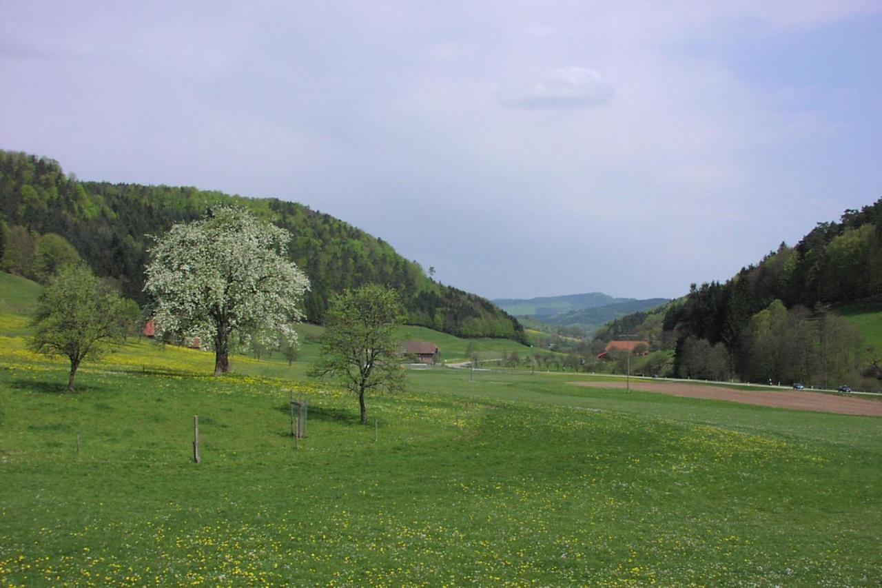 Schwarzwälder Ferienwohnungen Seelbach  Exterior foto