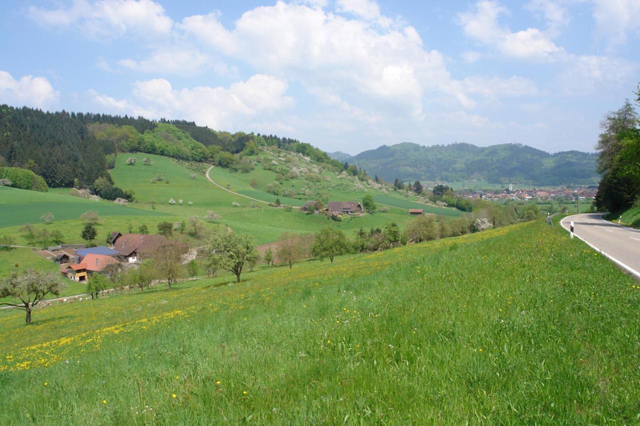 Schwarzwälder Ferienwohnungen Seelbach  Exterior foto