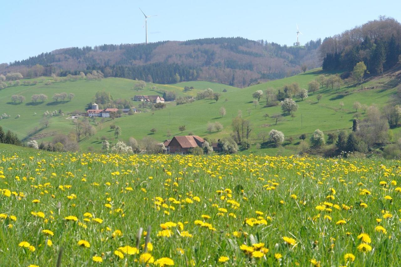 Schwarzwälder Ferienwohnungen Seelbach  Exterior foto